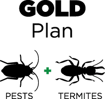 Pest control Gold Plan